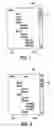 Fig. 02 - Navigating through a displayed hierarchical data structure