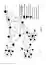 Fig. 02 - Surveillance network system