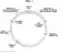 Fig. 04 - Storage apparatus and method for using a non-volatile cache memory organized into stationary and non-stationary circular regions