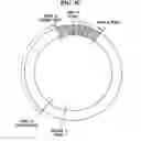 Fig. 08 - Storage apparatus and method for using a non-volatile cache memory organized into stationary and non-stationary circular regions