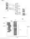 Fig. 14 - Method and apparatus for dispensing on a data-storage medium customized content comprising selected assets