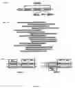 Fig. 02 - Chimeric DNA-binding proteins