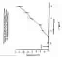 Fig. 07 - Chimeric DNA-binding proteins