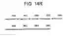 Fig. 47 - Prevention of Bt resistance development