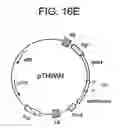 Fig. 55 - Prevention of Bt resistance development