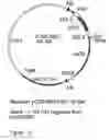 Fig. 14 - Genetic sequences having methyltransferase activity and uses therefor