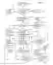 Fig. 06 - Virtual credit with transferability