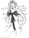 Fig. 01 - Gift wrap lingerie