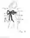 Fig. 08 - Gift wrap lingerie