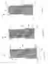 Fig. 03 - PIPELINE PIG BRUSH AND BRUSH ASSEMBLY