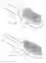 Fig. 11 - Hairbrush
