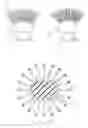 Fig. 12 - Hairbrush