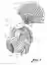 Fig. 02 - TURKEY DECOY