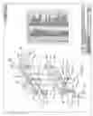 Fig. 03 - Case sealer assembly with spring-loaded side drive mechanisms