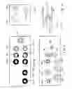 Fig. 05 - Actuator system having a valve manifold