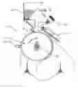 Fig. 01 - CLEANING DEVICE
