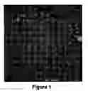 Fig. 02 - Reticulated foam-like structure formed of nano-scale particulate