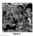 Fig. 04 - Reticulated foam-like structure formed of nano-scale particulate