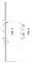 Fig. 03 - Multirod bow stabilizer