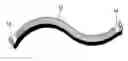 Fig. 01 - Method and apparatus for curling hair