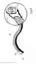 Fig. 09 - Method and apparatus for curling hair