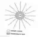 Fig. 01 - Magnetic nanoparticles comprising a core formed from noble metals