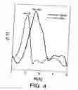 Fig. 05 - Magnetic nanoparticles comprising a core formed from noble metals