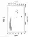 Fig. 03 - Nanostructured superalloy structural components and methods of making