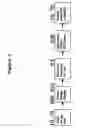 Fig. 08 - Process for manufacturing RFID label