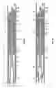 Fig. 05 - Deformable release device for use with downhole tools