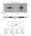 Fig. 05 - Printed circuit board having plated through hole with multiple connections and method of fabricating same