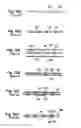 Fig. 02 - Flexible substrate having interlaminar junctions, and process for producing the same