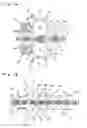 Fig. 09 - Flexible substrate having interlaminar junctions, and process for producing the same