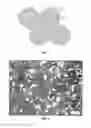 Fig. 03 - Microwave sintering