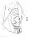 Fig. 07 - Automatic motorcycle