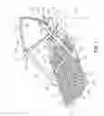 Fig. 02 - Tree stand