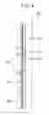 Fig. 05 - Button display apparatus of refrigerator