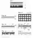 Fig. 02 - Method and electrode for defining and replicating structures in conducting materials