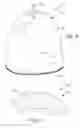 Fig. 07 - ODOR ABSORBING SYSTEMS AND METHODS
