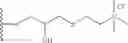 Fig. 09 - Chromatographic material for the absorption of proteins at physiological ionic strength