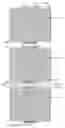 Fig. 01 - Filtering device