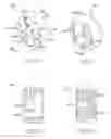 Fig. 06 - Hand-held laser welding wand nozzle assembly including laser and feeder extension tips