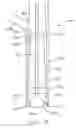 Fig. 30 - Rapid comestible fluid dispensing apparatus and method