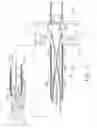 Fig. 20 - Surgical instrument with bending articulation controlled articulation pivot joint