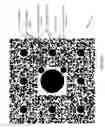Fig. 06 - Method and system for creating and using barcodes