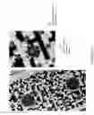 Fig. 19 - Method and system for creating and using barcodes