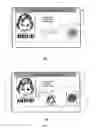 Fig. 03 - Covert variable information on ID documents and methods of making same