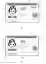 Fig. 04 - Covert variable information on ID documents and methods of making same