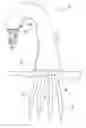 Fig. 01 - Foam-dispensing faucet
