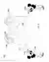 Fig. 04 - Kite system having a light transmitter and a light receiver